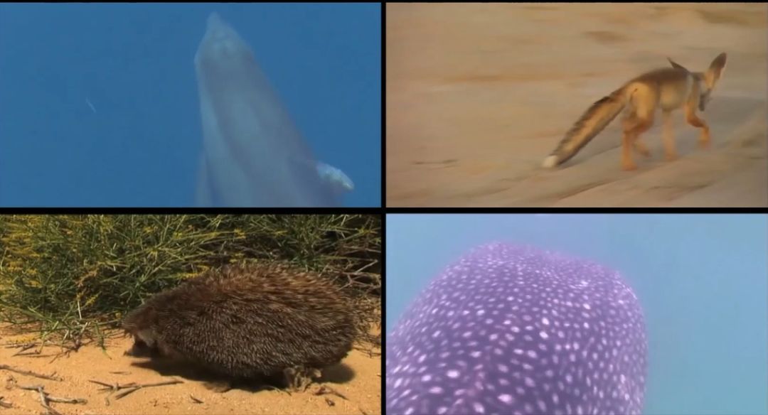 ·Ç·²¹ú¼Ê(ÖйúÇø)-¹Ù·½ÍøÕ¾