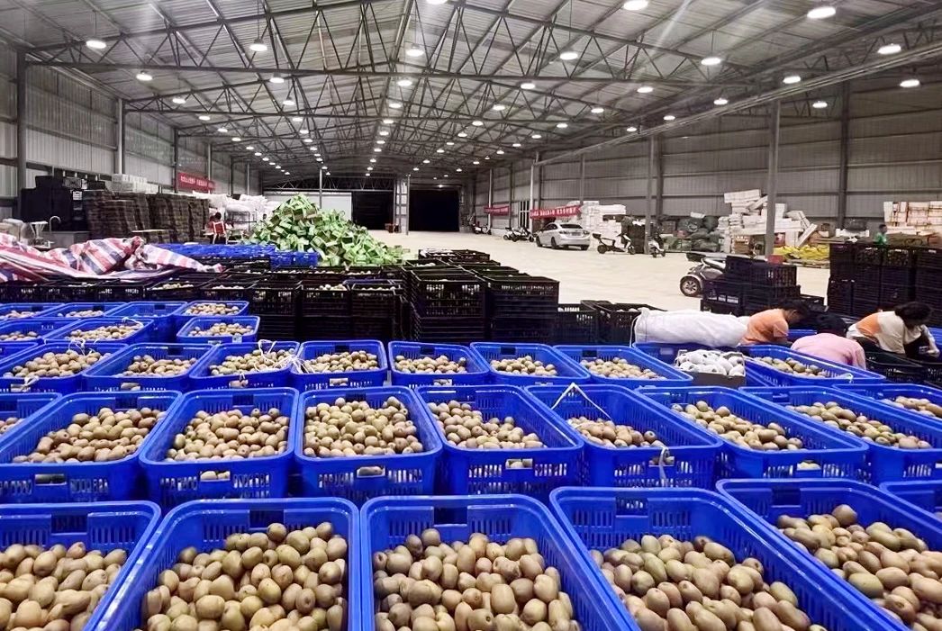 微信图片_20240919090947.jpg 微信图片_20240919090947.jpg