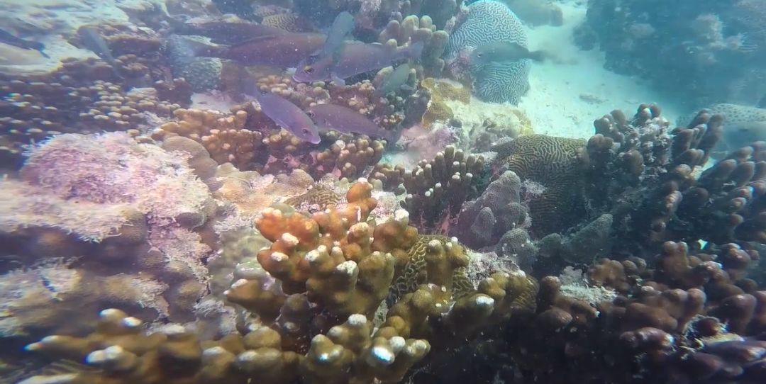 ·Ç·²¹ú¼Ê(ÖйúÇø)-¹Ù·½ÍøÕ¾